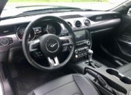 Ford Mustang 5.0 V8 GT Performance Brembo