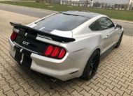 Ford Mustang 5.0 V8 GT Performance Brembo