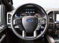 Ford F 150 5.0 V8/LED/Klimatizace/R20