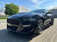 Ford Mustang 5.0 V8 GT500 Shelby Style
