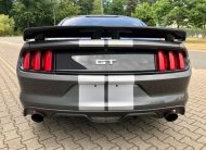 Ford Mustang 5.0 V8 GT Performance Brembo