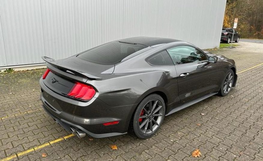 Ford Mustang 2.3 Eco Boost Style Shelby GT500
