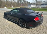 Ford Mustang Cabrio 5.0 V8 GT Shelby Style GT500 Cabrio