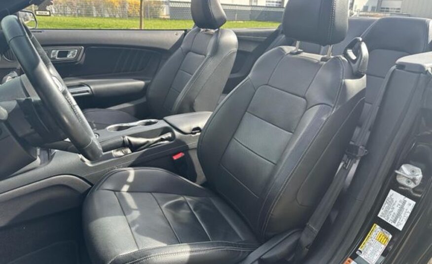 Ford Mustang Cabrio 5.0 V8 GT Shelby Style GT500 Cabrio