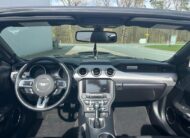 Ford Mustang Cabrio 5.0 V8 GT Shelby Style GT500 Cabrio