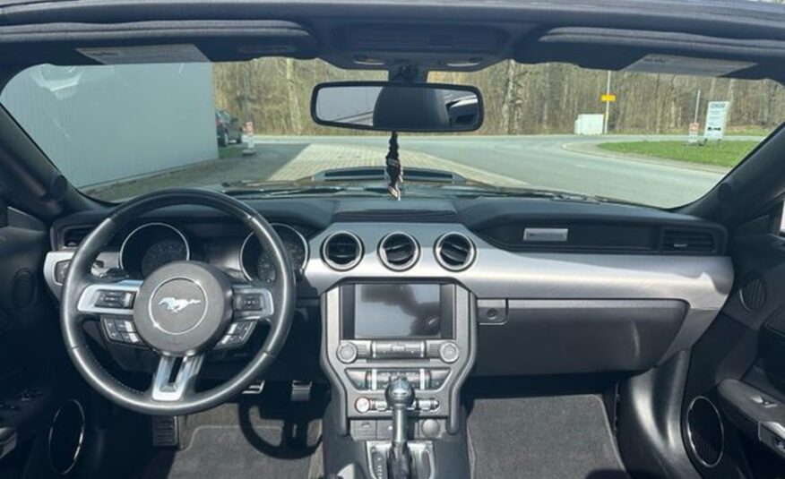 Ford Mustang Cabrio 5.0 V8 GT Shelby Style GT500 Cabrio