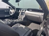 Ford Mustang Cabrio 5.0 V8 GT Shelby Style GT500 Cabrio