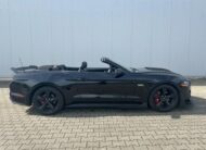 Ford Mustang Cabrio 5.0 V8 GT Shelby Style GT500 Cabrio