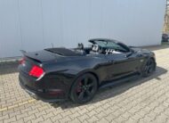 Ford Mustang Cabrio 5.0 V8 GT Shelby Style GT500 Cabrio