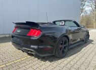 Ford Mustang Cabrio 5.0 V8 GT Shelby Style GT500 Cabrio
