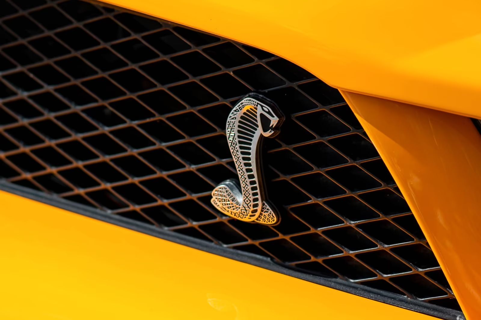 Ford Mustang GT500 SHELLBY SVT /BREMBO