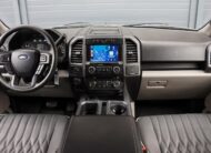 Ford F 150 5.0 V8 Raptor Optik/4×4/Tažné