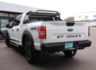 Ford F 150 5.0 V8 Raptor Optik/4×4/Tažné